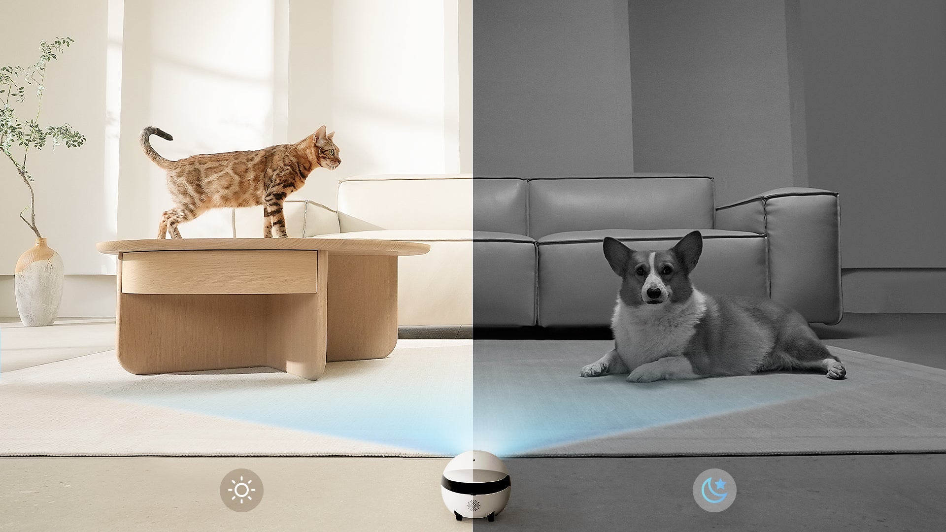 ROLA Mini pet monitor night vision