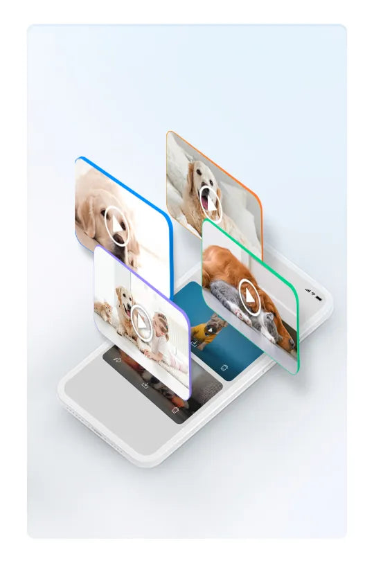 rola petpal app daily pet moments