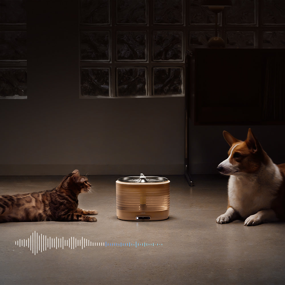 ROLA Smart Pet Water Fountain Ultra-Quiet Circulation