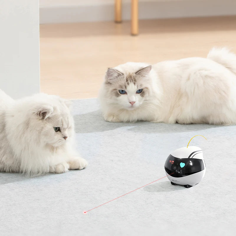 EBO Air can also play as an automatic cat leaser troy