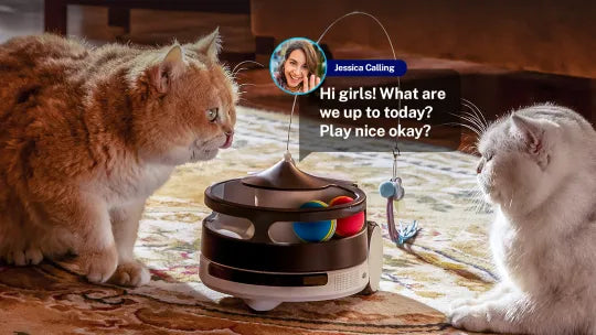 ROLA PetPal Real-Time Two-Way Communication