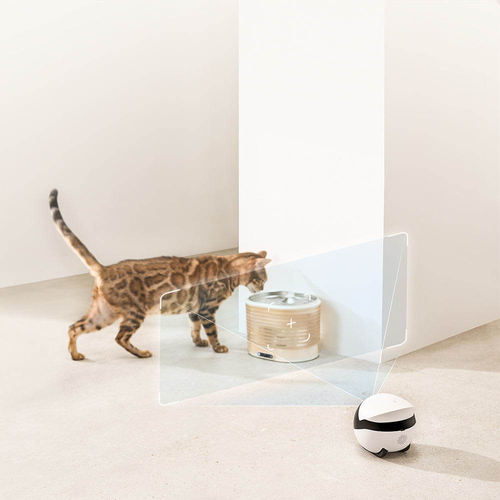 ROLA Smart Pet Water Fountain Smart Connectivity