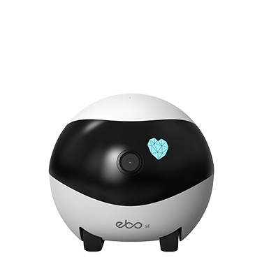 EBO SE wireless camera robot – Enabot Singapore