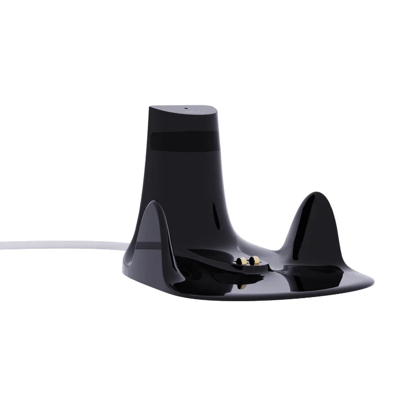 EBO Air 2 Charging Dock