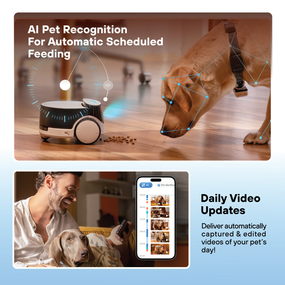 Rola PetPal - Robot for Cats and Dogs