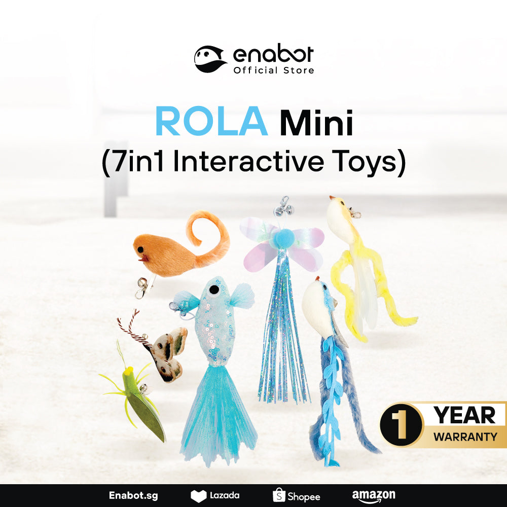 Enabot Cat Teaser Set for ROLA Mini & EBO Air 2 Plus